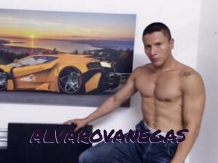 ALVAROVANEGAS