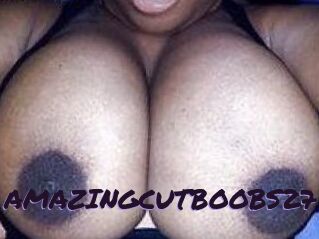 AMAZINGCUTBOOBS27