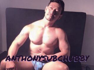 ANTHONYSUBCHUBBY