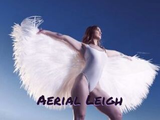 Aerial_Leigh