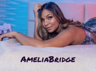 AmeliaBridge