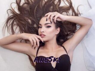 AneSky