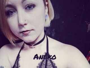Aneko