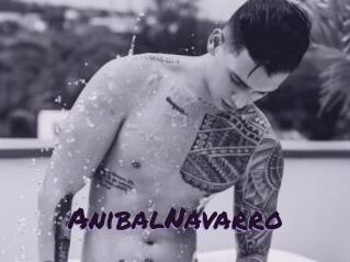 AnibalNavarro