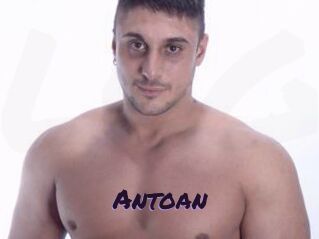 Antoan