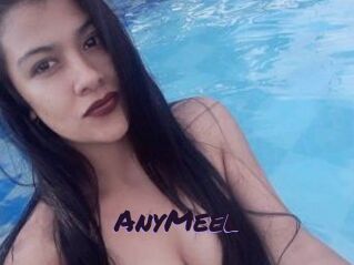 AnyMeel
