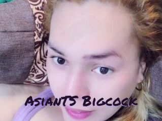AsianTS_Bigcock