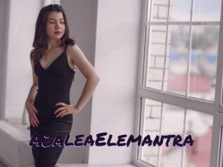 AzaleaElemantra