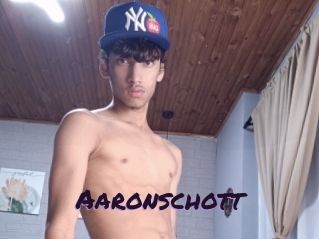 aaronschott Le Cul Gratuit