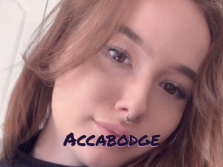 Accabodge