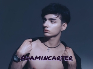 adamincarter Le Cul Gratuit