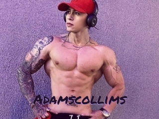Adamscollims