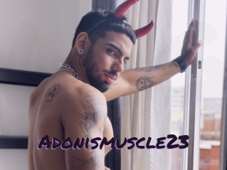 Adonismuscle23