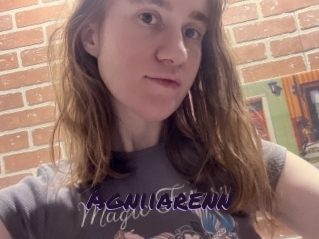 Agniiarenn
