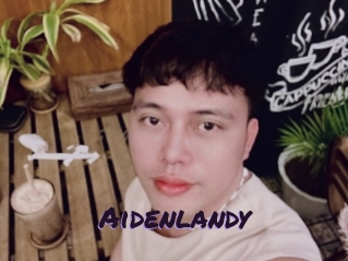 Aidenlandy