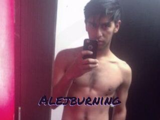 Alejburning