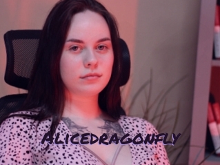 Alicedragonfly