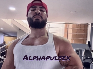 alphapulsex Le Cul Gratuit