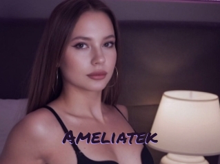 Ameliatek