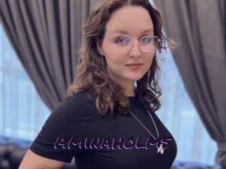 Aminaholms