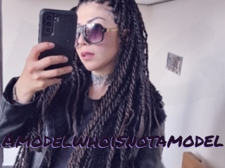 Amodelwhoisnotamodel