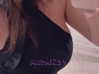 Anda1234