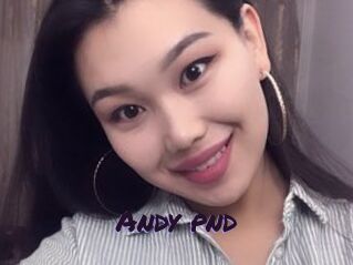 Andy_pnd