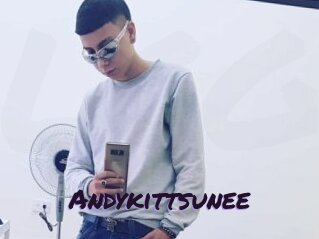 Andykittsunee