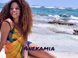 anekamia Le Cul Gratuit