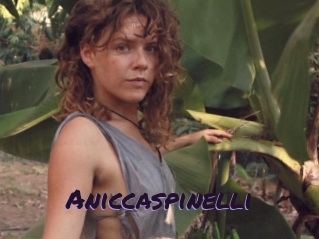 Aniccaspinelli