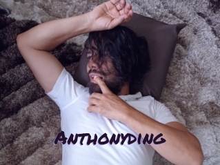anthonyding Le Cul Gratuit