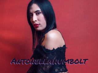 Antonellahumbolt