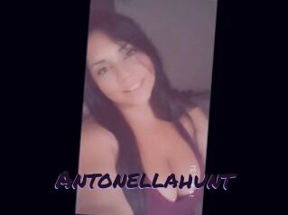 Antonellahunt