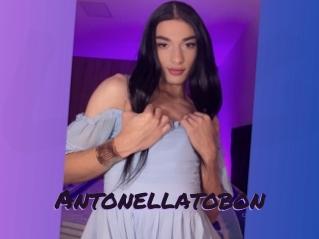antonellatobon Le Cul Gratuit