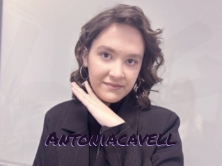 Antoniacavell