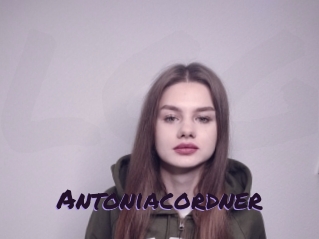 Antoniacordner