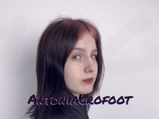 Antoniacrofoot