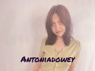 Antoniadowey