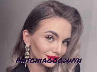 Antoniagoodwyn