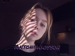 Antoniagosson