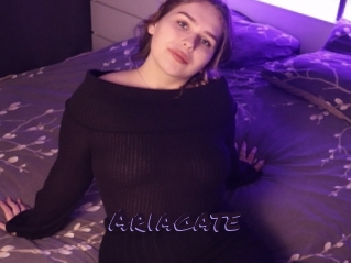 Ariagate