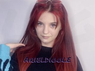 Arieldiggle