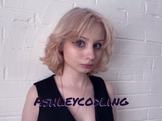 Ashleycodling