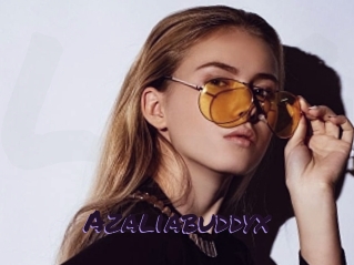 Azaliabuddyx