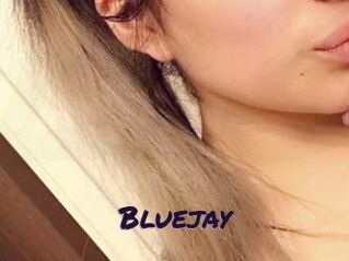 Blue_jay