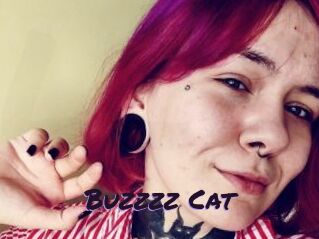 Buzzzz_Cat