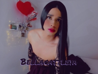 Bellacattleya