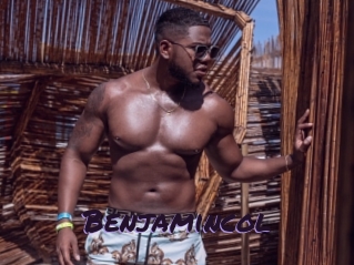 benjamincol Le Cul Gratuit
