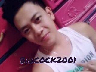 BigCOCK2001