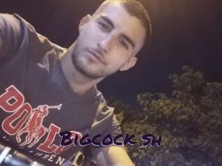 Bigcock_sh